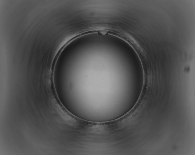 X0000091681178200708231410