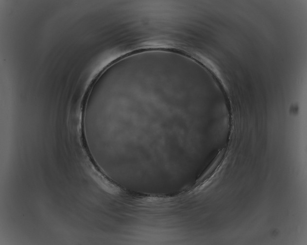 X0000091681179200708231410