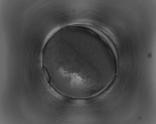 X0000091681180200708231410