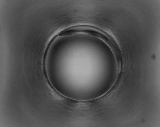 X0000091681181200708231410