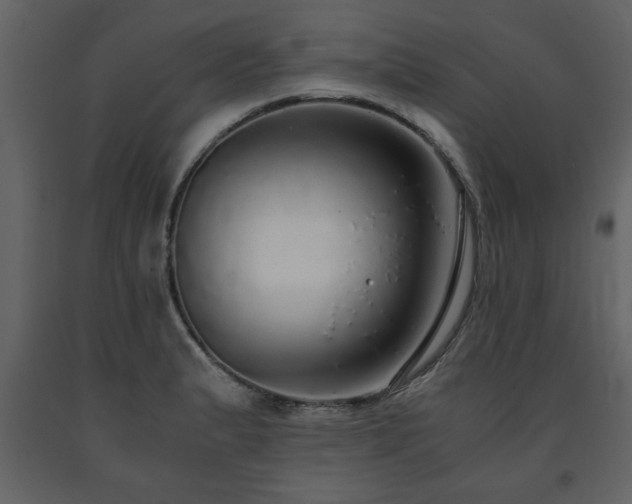 X0000091681183200708231410