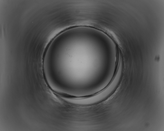 X0000091681184200708231410