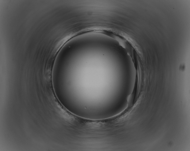 X0000091681185200708231410