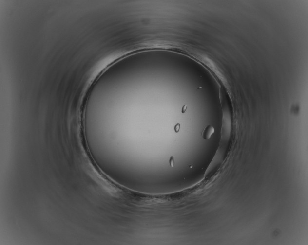 X0000091681187200708231410