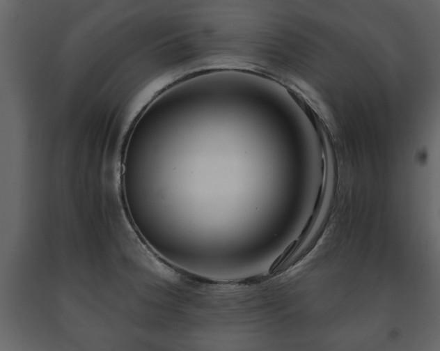 X0000091681188200708231409