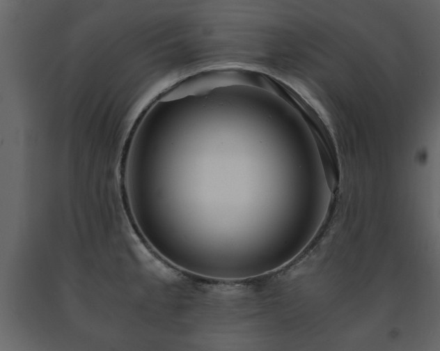 X0000091681189200708231409