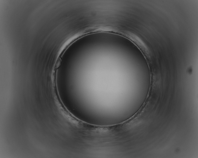 X0000091681190200708231409