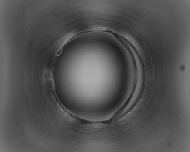 X0000091681193200708231409
