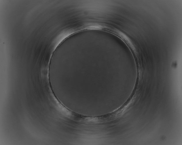 X0000091681194200708231409