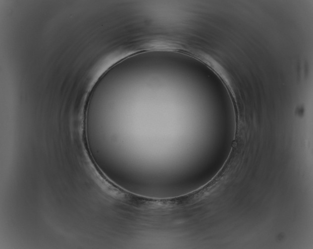 X0000091681195200708231409