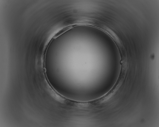 X0000091681196200708231409