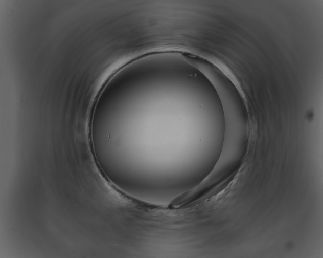 X0000091681197200708231409