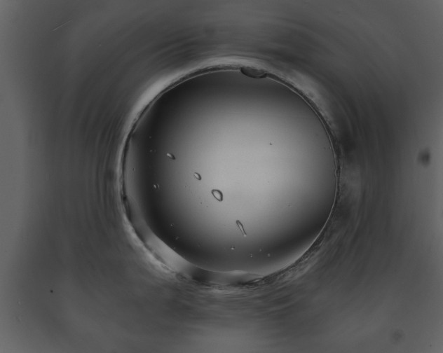X0000091681199200708231409