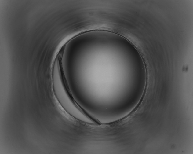 X0000091681200200708231409