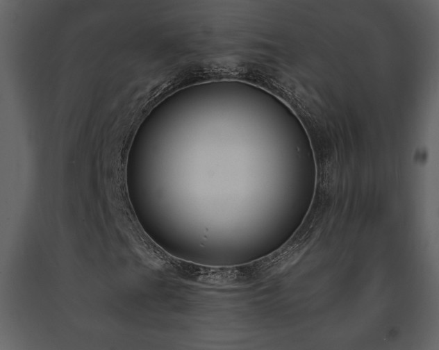 X0000091681201200708231409