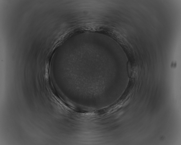 X0000091681202200708231409