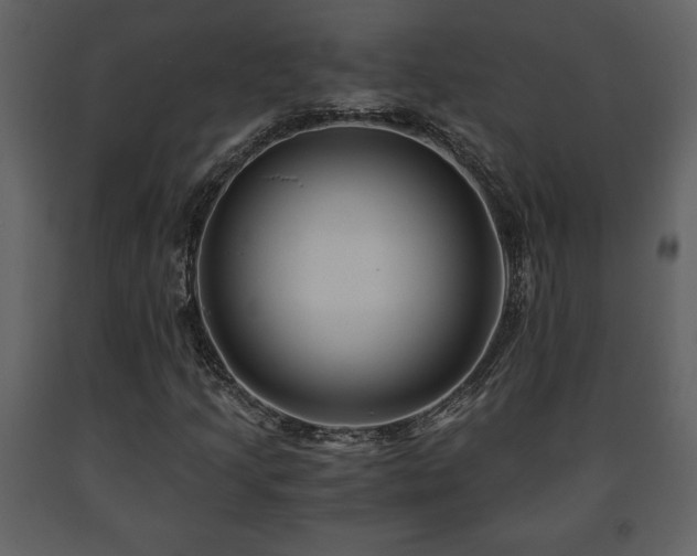 X0000091681205200708231409