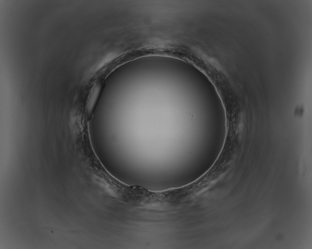 X0000091681206200708231409