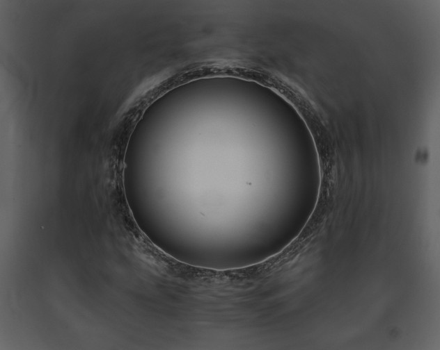 X0000091681207200708231409
