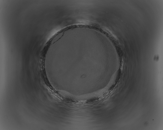 X0000091681208200708231409