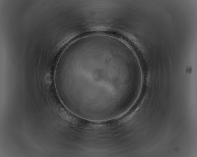 X0000091681209200708231409