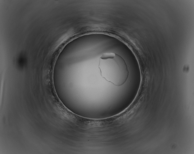 X0000091681211200708231409