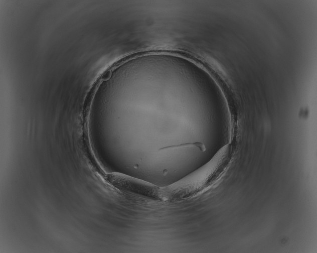 X0000091681212200708231409