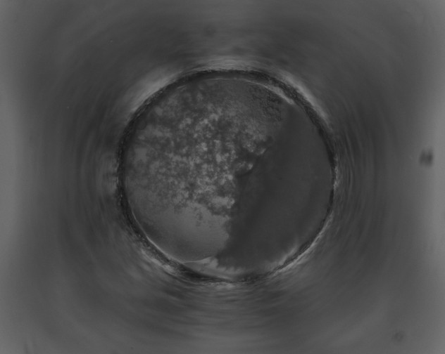 X0000091681213200708231409