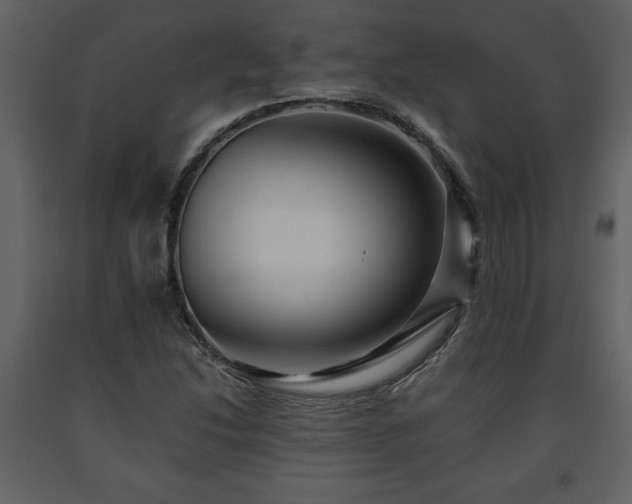 X0000091681214200708231409