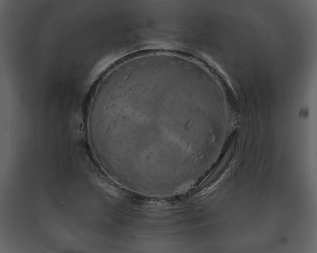 X0000091681215200708231409