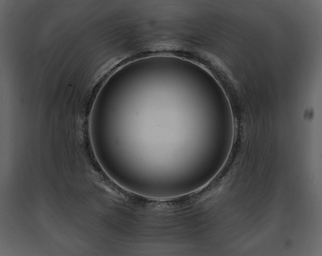 X0000091681217200708231409