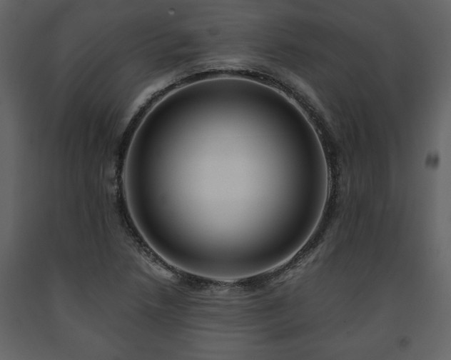 X0000091681218200708231409