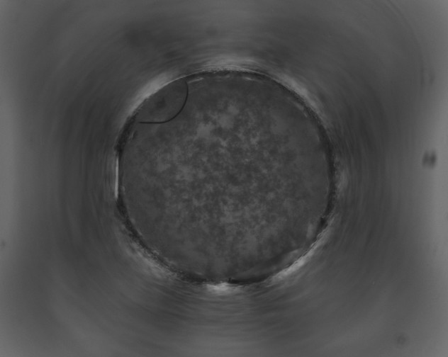 X0000091681219200708231409