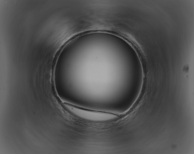 X0000091681220200708231409