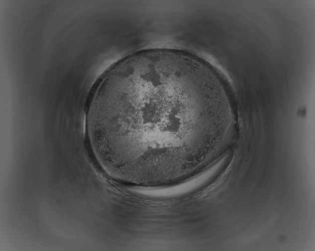 X0000091681221200708231409