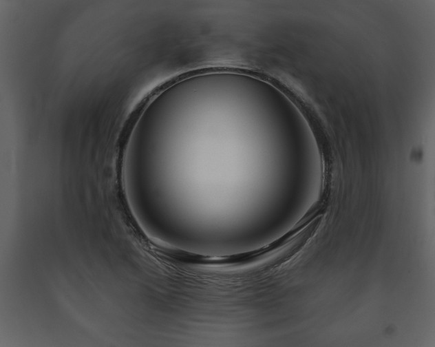 X0000091681222200708231409