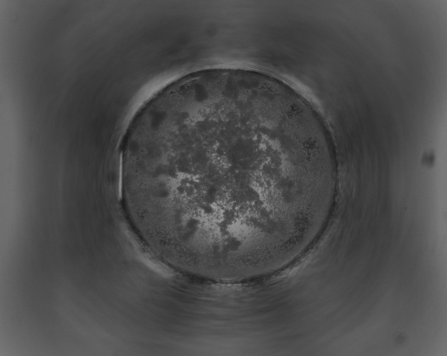 X0000091681223200708231409