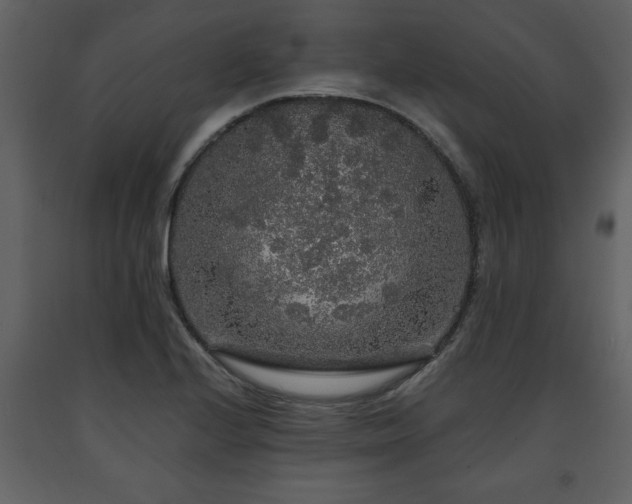 X0000091681224200708231409
