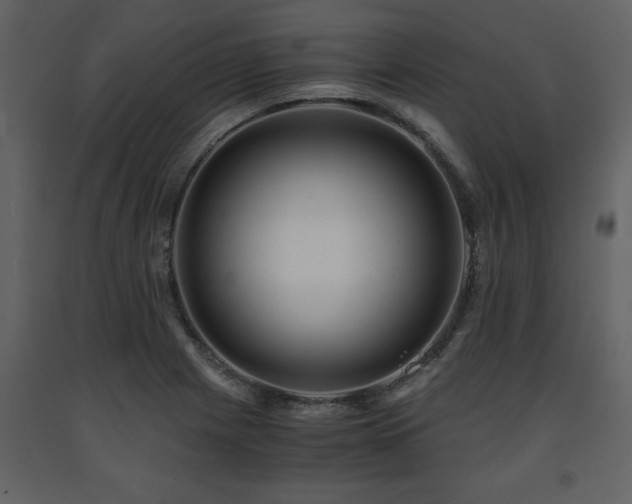 X0000091681225200708231409