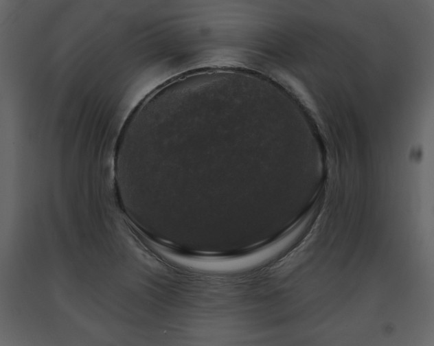 X0000091681226200708231409