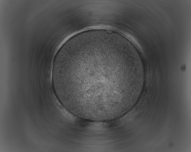 X0000091681228200708231409