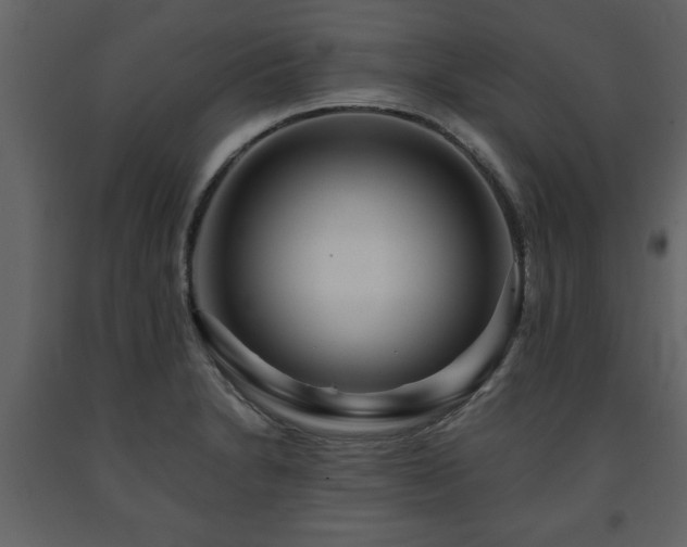 X0000091681230200708231409