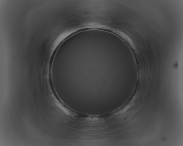 X0000091681231200708231409