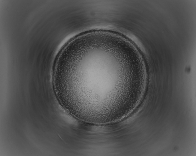 X0000091681232200708231409