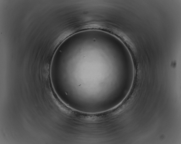 X0000091681233200708231409