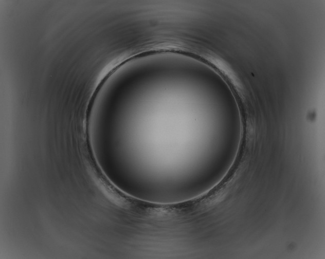 X0000091681234200708231409