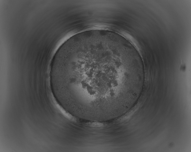 X0000091681235200708231409