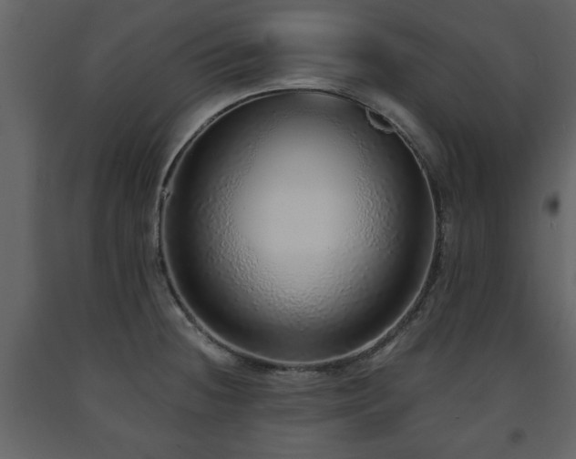 X0000091681236200708231409