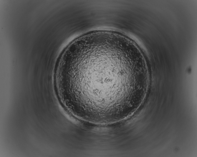 X0000091681237200708231409