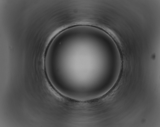 X0000091681238200708231409